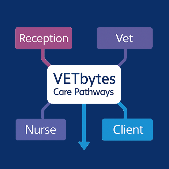 Illustration of veterinary team members working together